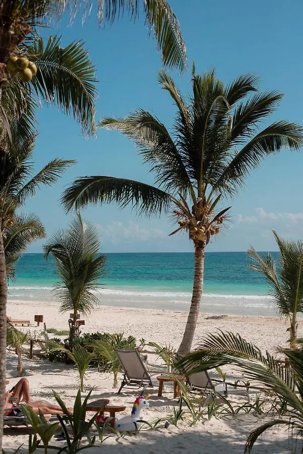 Hotel Los Arrecifes à Tulum